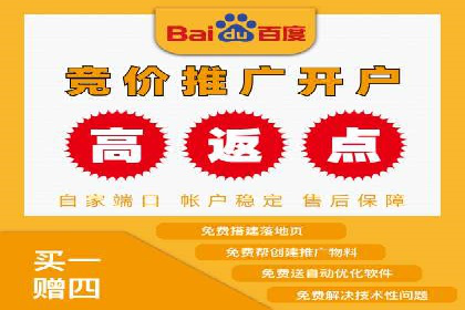 深度解析百度竞价公司的广告投放策略及效果